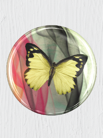 Butterfly Swirl