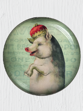 Crowned Piggie